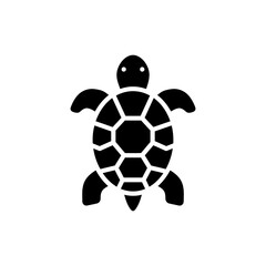 Obraz premium Turtle with Distinctive Round Shell Pattern Closeup