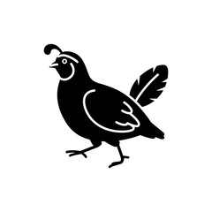 Obraz premium Quail Walking with Distinctive Plume on Head in Natural Habitat