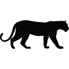 Obraz premium Black panther silhouette walking on white background vector illustration for design and decoration
