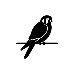 Kestrel Bird Perched on Wire with Alert Watchful Pose