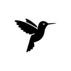 Hummingbird in Profile Showing Detailed Feathers and Beak