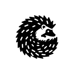 Hedgehog Curled Defensively Small Mammal Protecting Itself in Nature