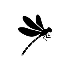 Dragonfly in Mid Flight with Transparent Wings Detailed Close-Up