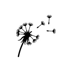 Single dandelion seed drifting softly in gentle breeze