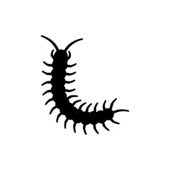Centipede with Many Legs Crawling on Natural Surface in Close-up