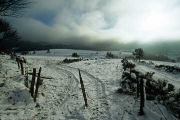 Monts de l'Aubrac, neige, hiver, Plateau de l'Aubrac, 48, Lozère, France