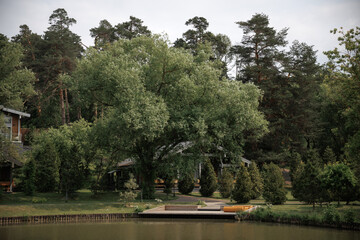 Peaceful lakeside scene with charming cottages nestled among lush greenery. The tranquil setting...