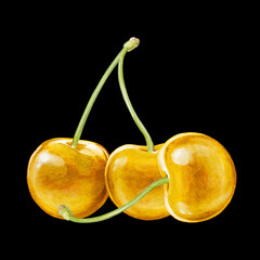 cherry digital waterolor stock illustration