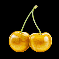 cherry digital waterolor stock illustration
