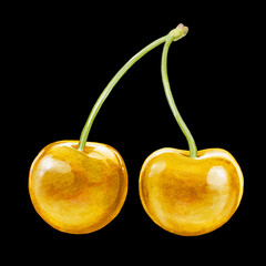 cherry digital waterolor stock illustration