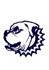 bulldog collier chien feroce