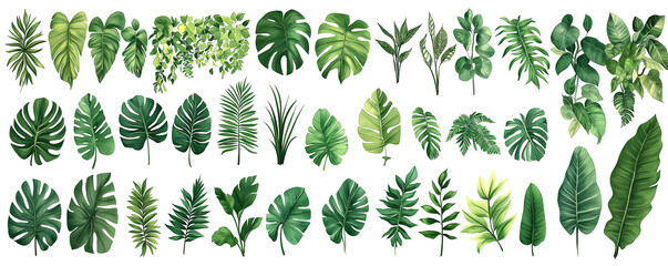 Collection of illustrated tropical leaves featuring various shapes, sizes, and shades of green on a white background
