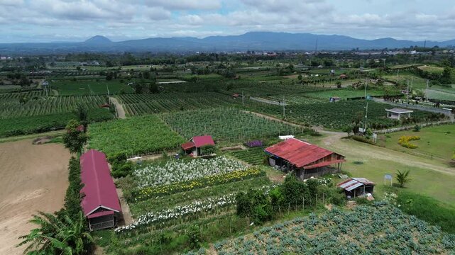 Aerial view of rural farmland with vegetable plots, red-roof houses, and mountains