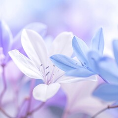 Fototapeta premium A vibrant close-up of delicate blue and white flowers, showcasing intricate petals and lush green leaves, glistening with morning dew.