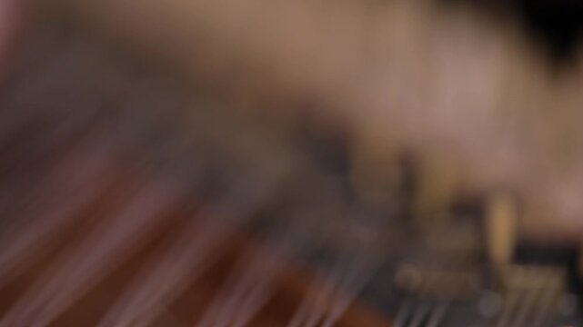 close-up shows a woman's hands playing an ornate wooden zither with plectrums. A microphone captures the beautiful sound of this traditional Middle Eastern folk instrument.