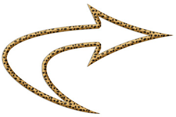 arrows without background in jaguar fur color
