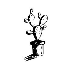 cactus ornamental plant sketch illustration