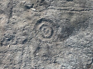 Ancient rock carvings on Norway 