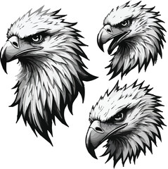 eagle head vector