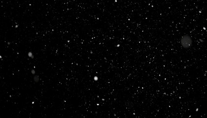 Fototapeta premium falling snow flakes