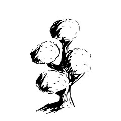 decorative tree sketch illustration