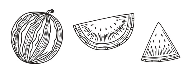Hand-drawn watermelon illustration. Whole fruit and slices. Vintage sketch style. For labels, packaging, prints, or summer-themed design.