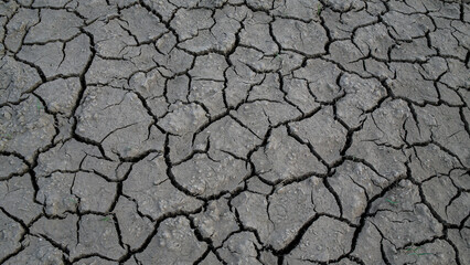 Cracked Dry Earth Texture Due to Drought
