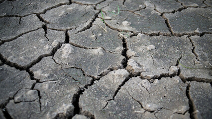 Cracked Dry Earth Texture Due to Drought