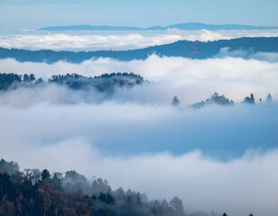 Serene mountain view blanketed by thick fog. Tree-covered hills emerge softly through the mist under a peaceful blue sky. A calm and atmospheric nature moment.
