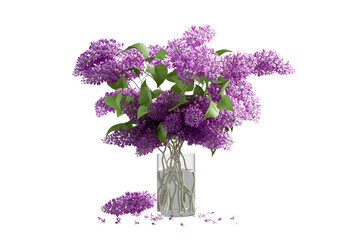 bouquet of lilac flowers on glass vase isolated on white