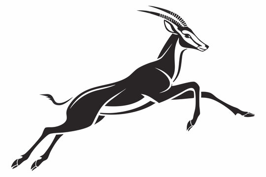 springbok silhoette black vector