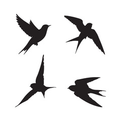 black silhouette or illustration of a swallow set white background