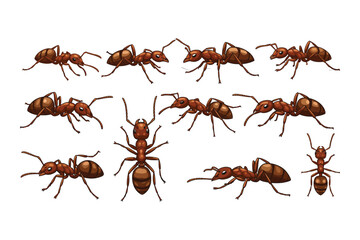 "Realistic Ant Vector Illustrations &ndash; Detailed Insect Icons in Various Poses and Angles"

