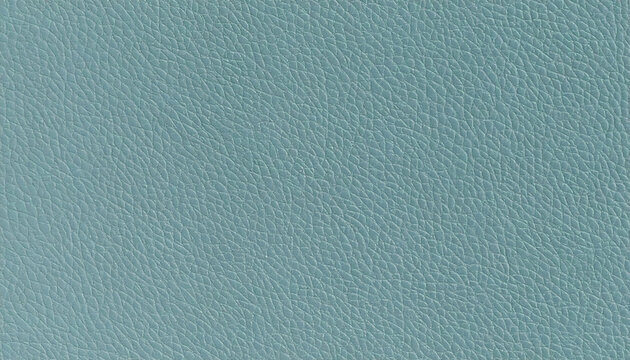 Shagreen Leather Surface with Subtle Bumps