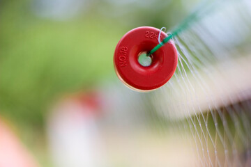Red Fishing Float on Net – Close-up with Soft Bokeh © iKRUFF