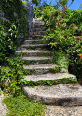 Stone staircase in a beautifully designed garden by an array of vibrant plants and colorful flowers