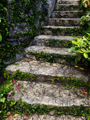 Stone staircase in a beautifully designed garden by an array of vibrant plants and colorful flowers