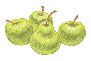 Hand drawing of four ripe yellow apples and pear, fresh fruit, vector illustration isolated on white