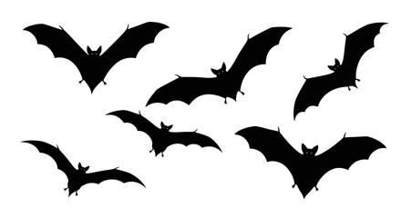 Fototapeta premium Silhouette of Bats in Flight A Collection of Vector Graphics