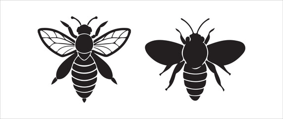 dragonfly vector illustration