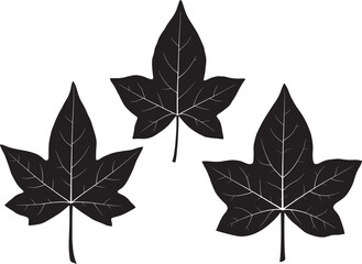 Elegant ivy leaf silhouette vector illustration