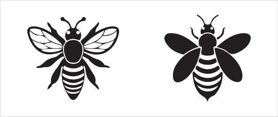 dragonfly vector illustration