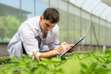 Agricultural Researcher Documenting Plant Growth Observations on a Clipboard in a Greenhouse.
