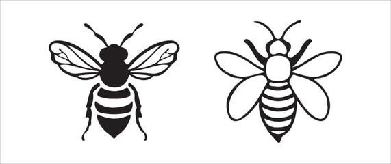 Obraz premium dragonfly on a white background