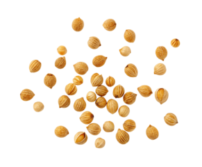 Isolated coriander seeds background top view culinary ingredient and spice for cooking and flavoring food