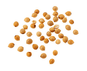 Isolated coriander seeds spice close up on black background for culinary and healthy eating concepts