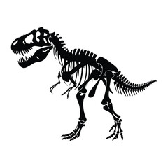 Tyrannosaurus Rex Skeleton Prehistoric Fossil Illustration