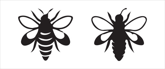 vector illustration of a black and white butterfly