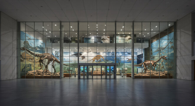 Stunning Architecture Museum Buildings and Dinosaur Exhibits