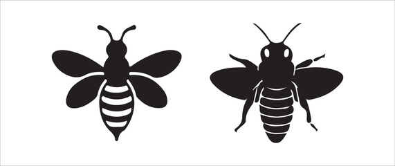 set of insects vector illustration